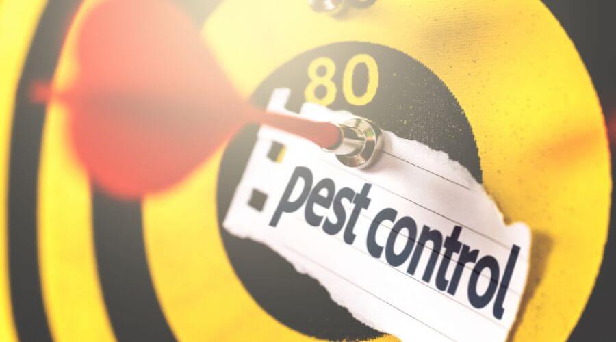 Professional bed bug inspection services in Tempe - Bed Bug Inspection Tempe