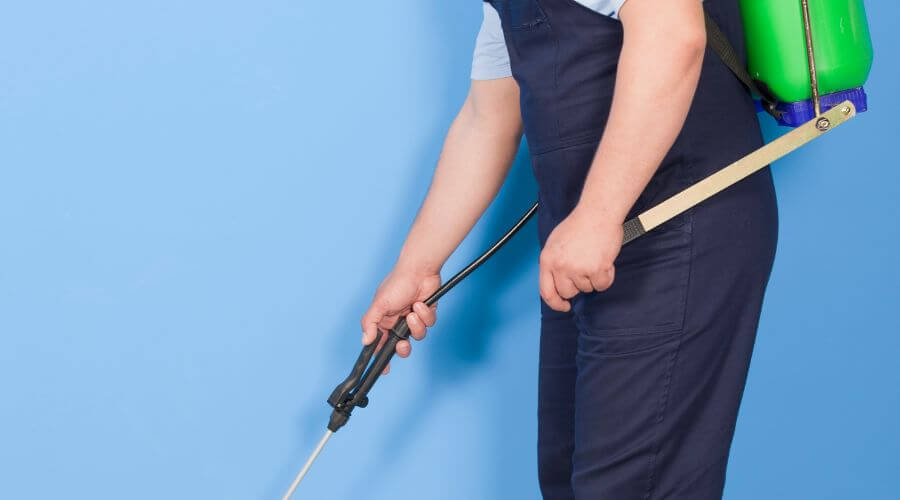 Why choose Bed Bug Inspection Tempe for bed bug inspection in Tempe